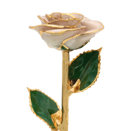 11" 24k Gold Trimmed Pearl White Sparkle Rose