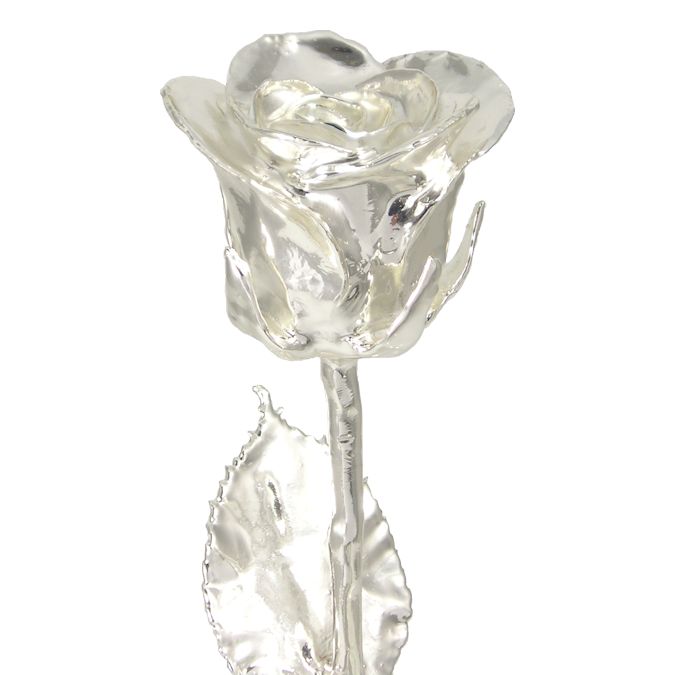 14" All Silver Rose